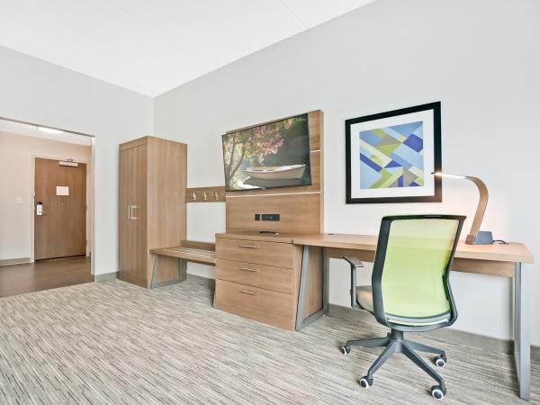 Holiday Inn Express - Jacksonville South Bartram Prk, an IHG Hotel : photo 9 de la chambre chambre lit king-size standard