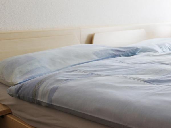 Richemont Hotel : photo 2 de la chambre chambre double ou lits jumeaux