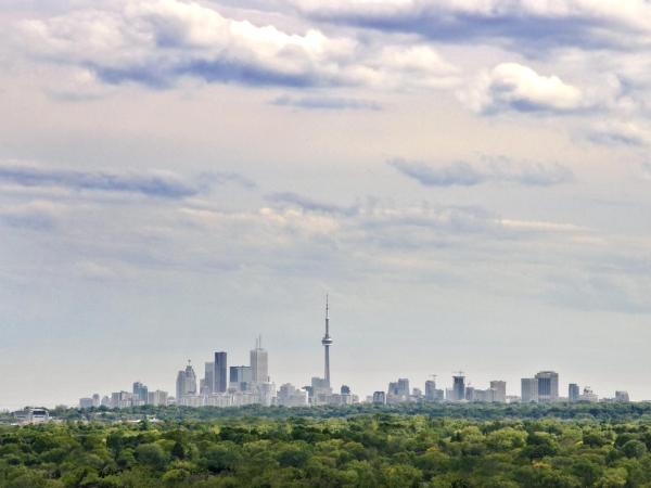 Pan Pacific Toronto : photo 4 de la chambre chambre premier avec lit king-size