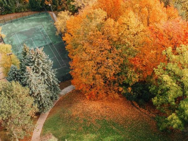 Pan Pacific Toronto : photo 1 de la chambre chambre premier avec lit king-size