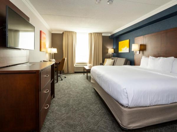 Comfort Inn & Conference Centre Toronto Airport : photo 1 de la chambre chambre lit king-size avec canapé-lit - non-fumeur