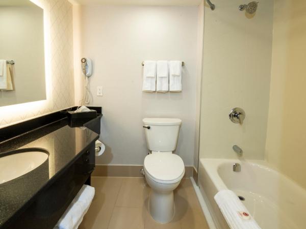 Comfort Inn & Conference Centre Toronto Airport : photo 4 de la chambre chambre lit king-size avec canapé-lit - non-fumeur