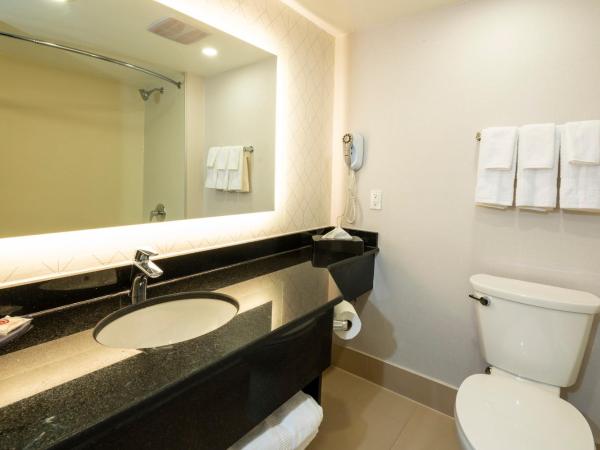 Comfort Inn & Conference Centre Toronto Airport : photo 4 de la chambre chambre avec 2 grands lits queen-size 