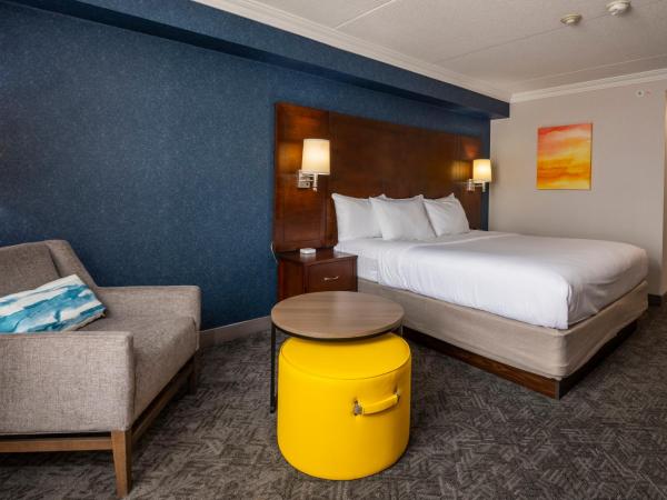 Comfort Inn & Conference Centre Toronto Airport : photo 1 de la chambre chambre lit king-size - non-fumeurs