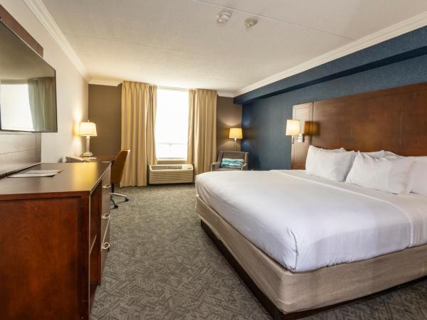 Comfort Inn & Conference Centre Toronto Airport : photo 3 de la chambre chambre lit king-size - non-fumeurs