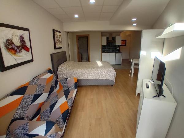 Estudios Bilbao Deusto : photo 3 de la chambre appartement