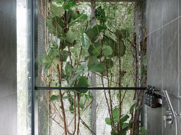 Lloyd's Inn Kuala Lumpur : photo 1 de la chambre chambre double ou lits jumeaux standard