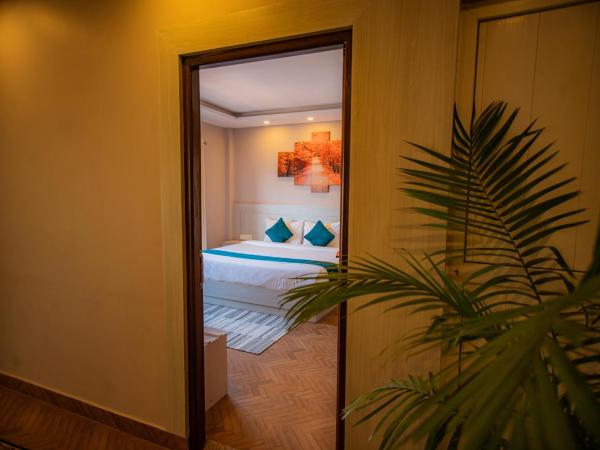 Majheri Resort and Spa : photo 3 de la chambre chambre double ou lits jumeaux deluxe supérieure