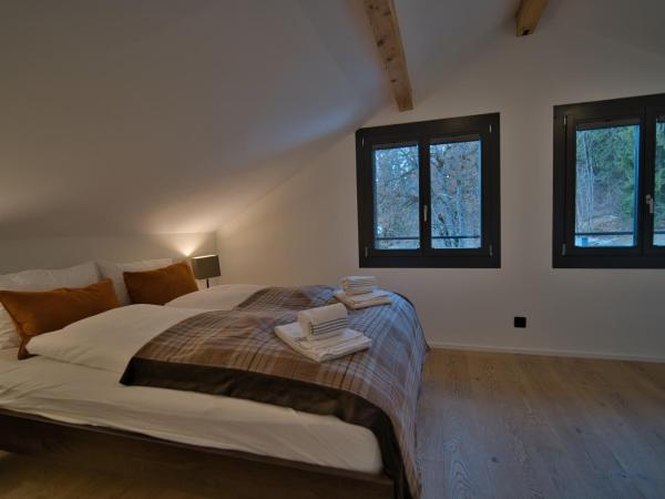 Eiger View Alpine Lodge : photo 3 de la chambre suite apartment with shower