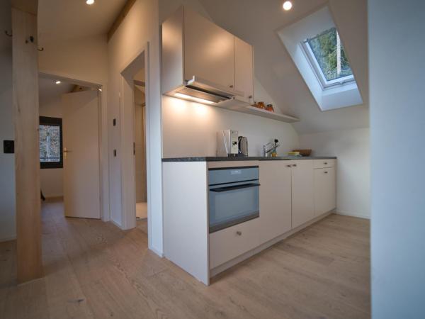 Eiger View Alpine Lodge : photo 4 de la chambre suite apartment with shower