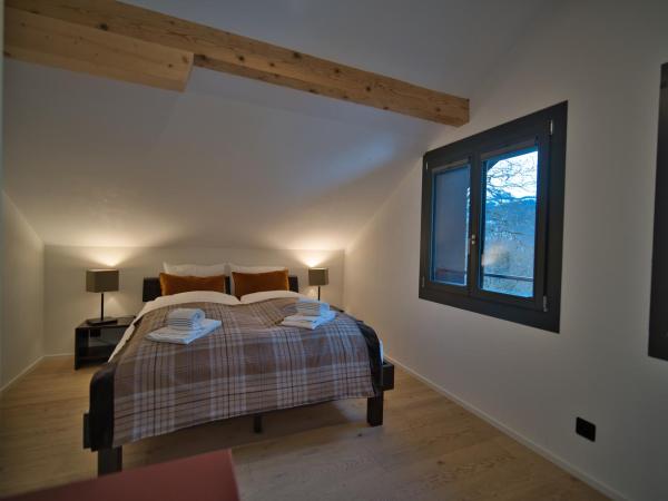 Eiger View Alpine Lodge : photo 8 de la chambre suite apartment with shower