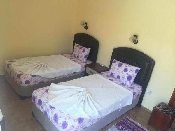 Defne & Zevkim Hotel : photo 6 de la chambre studio avec canapé-lit