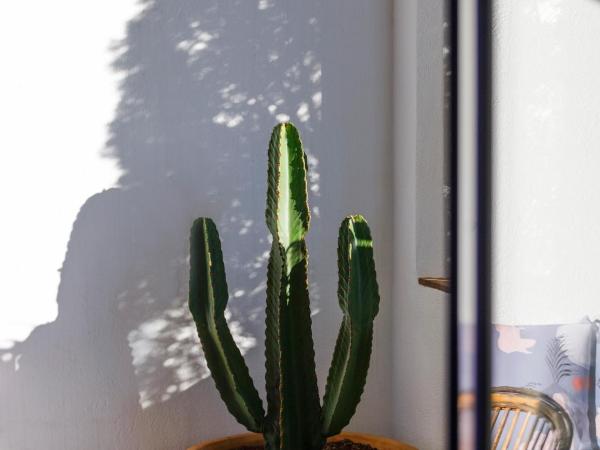 Hotel Casa Nereta : photo 7 de la chambre suite avec terrasse