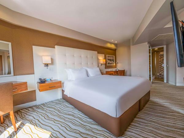 Radisson Hotel President Old Town Istanbul : photo 3 de la chambre chambre supérieure