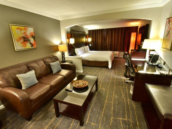 Holiday Inn Orlando East-UCF Area, an IHG Hotel : photo 4 de la chambre chambre lit king-size avec canapé-lit