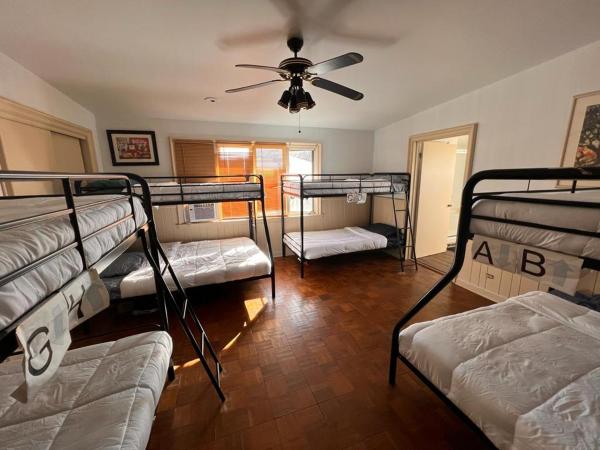 Pill Hill Mansion : photo 3 de la chambre lit superposé dans dortoir mixte