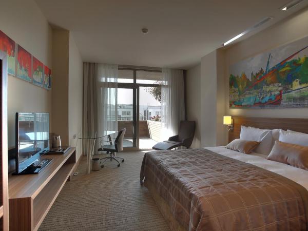 Gorrion Hotel Istanbul : photo 3 de la chambre chambre confort avec terrasse