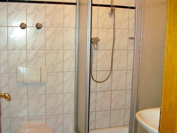 Hotel-Restaurant Handelshof : photo 3 de la chambre chambre simple