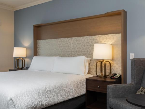 Holiday Inn Victoria - Elk Lake, an IHG Hotel : photo 1 de la chambre chambre lit king-size standard