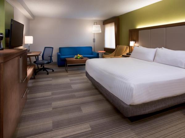 Holiday Inn Express Nashville Airport, an IHG Hotel : photo 8 de la chambre chambre d'angle lit king-size avec canapé-lit