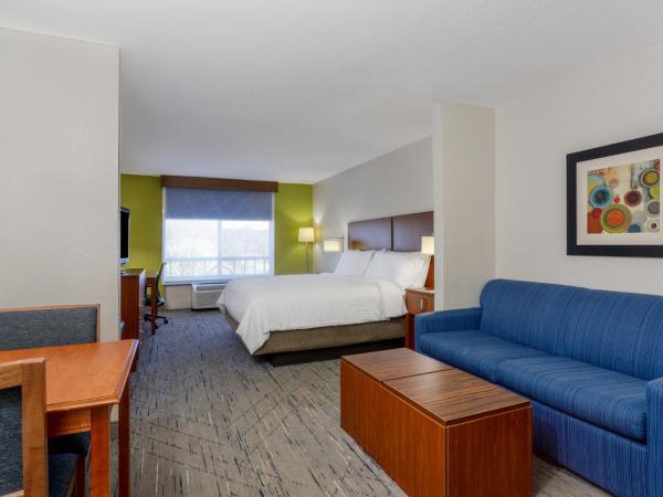Holiday Inn Express & Suites Jacksonville South - I-295, an IHG Hotel : photo 6 de la chambre suite lit king-size – non-fumeurs