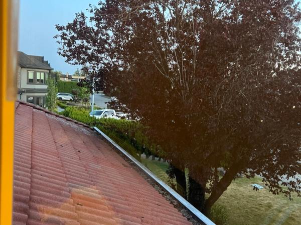 Comfortable Utopia B&B : photo 8 de la chambre chambre double avec salle de bains commune