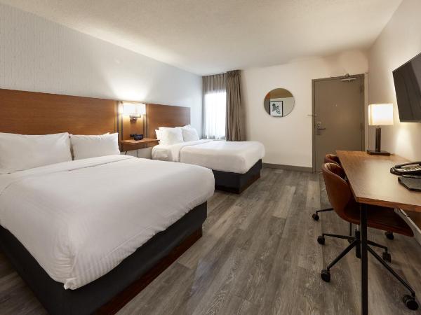 Canadas Best Value Inn Toronto : photo 3 de la chambre chambre double avec 2 lits doubles - non-fumeurs
