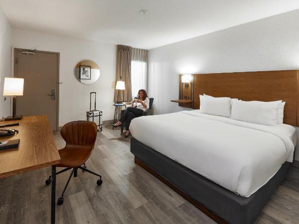 Canadas Best Value Inn Toronto : photo 1 de la chambre chambre king affaires - non-fumeurs