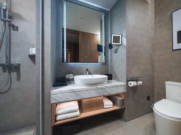 Park Inn by Radisson Tianjin Five Old Street Nanjing Road : photo 4 de la chambre chambre lits jumeaux deluxe