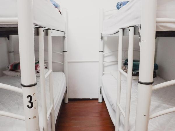 Hostal Cuija Coyoacan Berlin 268 Coyoacan : photo 3 de la chambre lit dans dortoir pour femmes de 6 lits