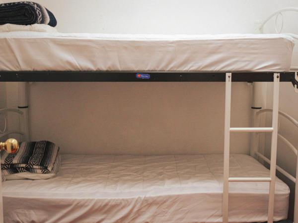 Hostal Cuija Coyoacan Berlin 268 Coyoacan : photo 1 de la chambre lit dans dortoir pour hommes