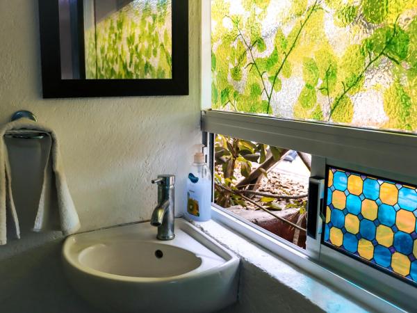 Hostal Cuija Coyoacan Berlin 268 Coyoacan : photo 5 de la chambre chambre deluxe