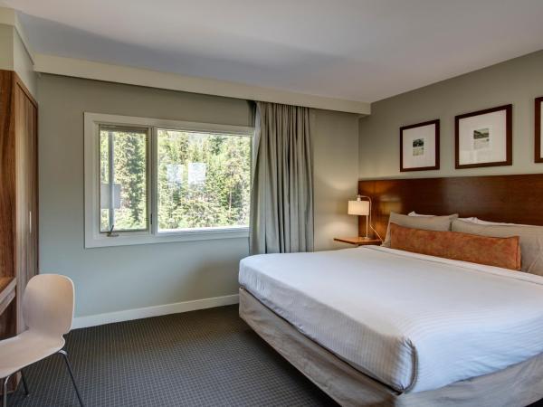 The Juniper Hotel & Bistro : photo 8 de la chambre suite 3 chambres