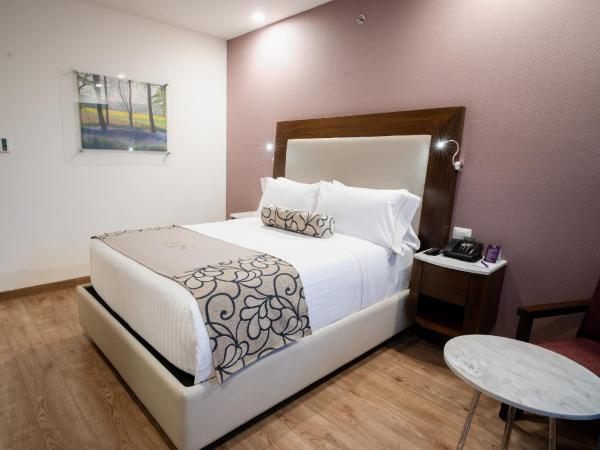 HS HOTSSON Hotel Queretaro : photo 2 de la chambre chambre deluxe