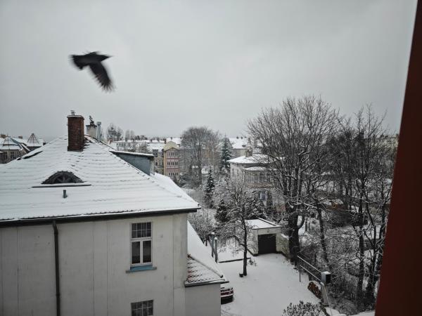 Willa Księżniczki Sopotu : photo 2 de la chambre chambre lits jumeaux