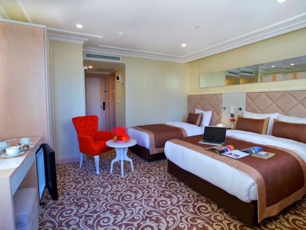 Alpinn Hotel Istanbul : photo 2 de la chambre chambre double deluxe