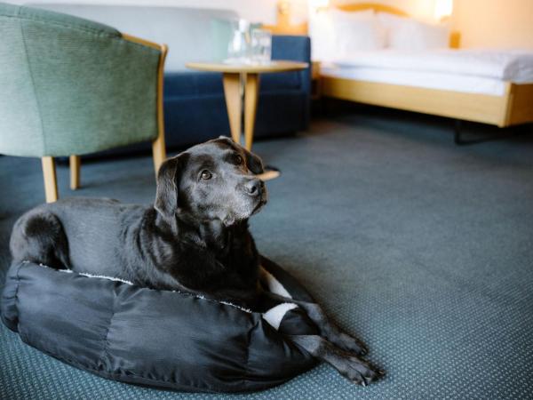 Alpine Hotel Perren : photo 3 de la chambre chambre double deluxe - vue sur mont cervin