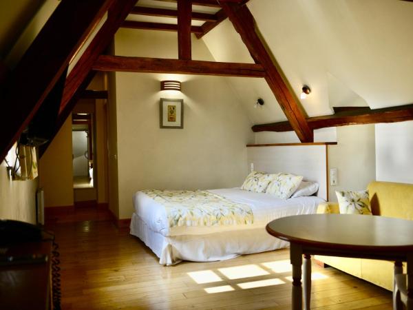 La Villa des Consuls - Gîte de tourisme de charme : photo 3 de la chambre studio lit queen-size