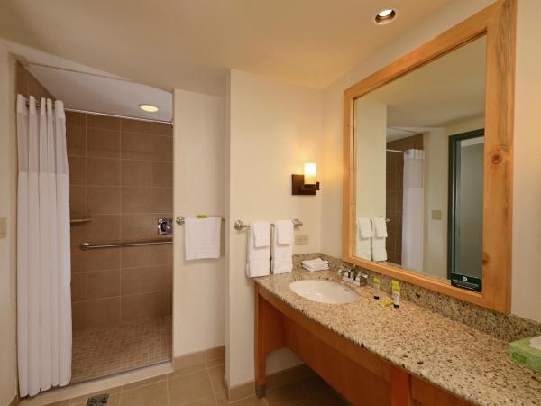 Great Wolf Lodge Colorado Springs : photo 4 de la chambre suite