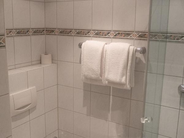 Hotel Daniel : photo 4 de la chambre chambre simple