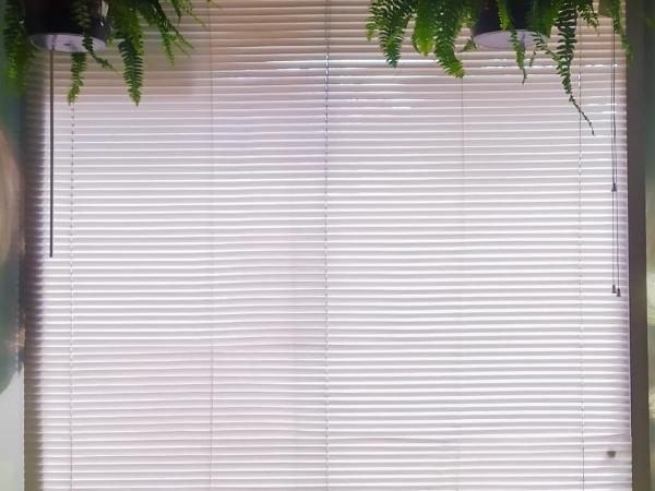 Social Hostel Café e Bar : photo 4 de la chambre lit dans dortoir pour femmes de 6 lits