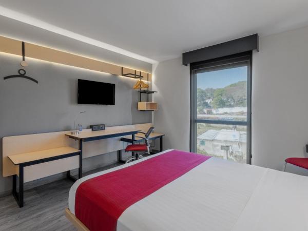 City Express by Marriott Guadalajara Aeropuerto : photo 5 de la chambre chambre lit queen-size 