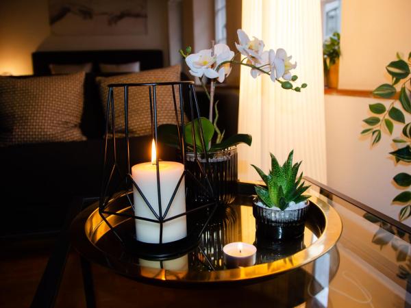 MANY'S historical city central APARTMENTS : photo 7 de la chambre studio lit king-size deluxe
