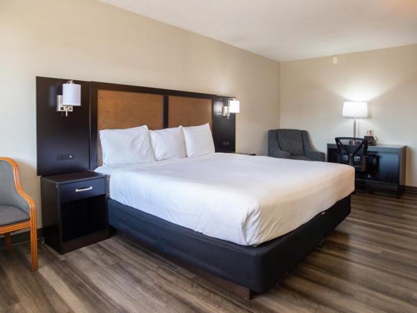 Baymont by Wyndham Austin University Area : photo 3 de la chambre chambre lit king-size