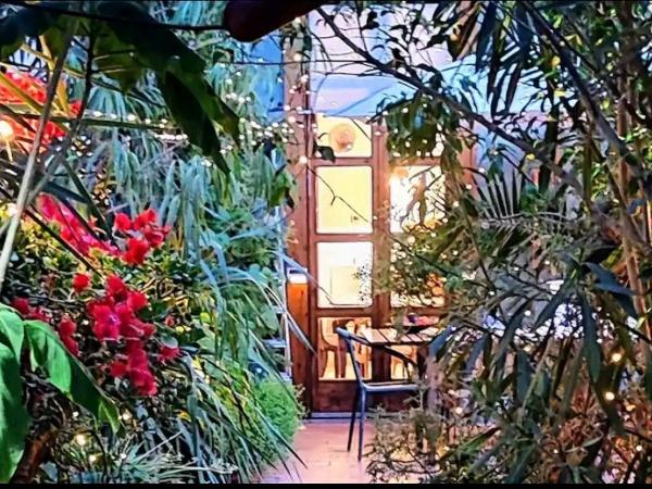 Jardin secreto en el centro de Barcelona 2 : photo 7 de la chambre chambre double - vue sur jardin