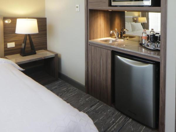 Holiday Inn Express & Suites Monterrey Valle, an IHG Hotel : photo 2 de la chambre suite junior lit king-size