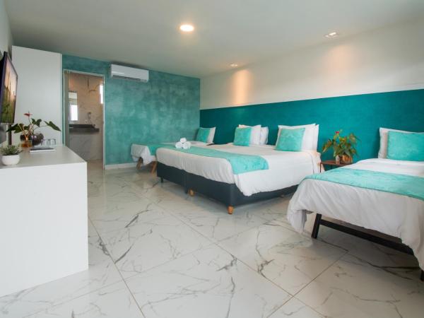 Pousada Aroma do Mar by Latitud Hoteles : photo 3 de la chambre chambre quadruple de luxe