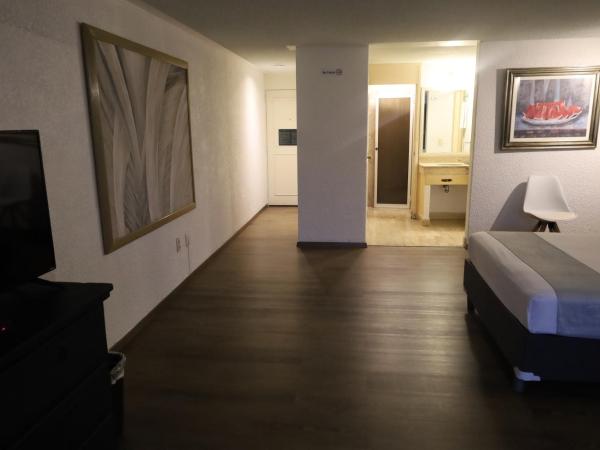 Hotel Grand Vista Cuernavaca : photo 8 de la chambre chambre double - vue sur jardin