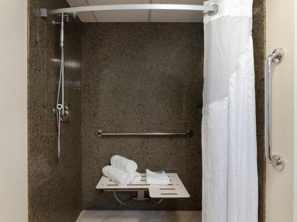 Holiday Inn Express & Suites - Atlanta Downtown, an IHG Hotel : photo 2 de la chambre suite - mobility access tran shower /non-smoking