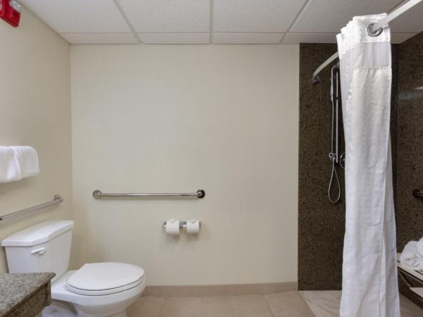 Holiday Inn Express & Suites - Atlanta Downtown, an IHG Hotel : photo 3 de la chambre suite - mobility access tran shower /non-smoking